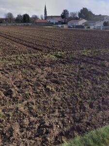 Annonce Vente Terrain Saint-jean-de-liversay 17