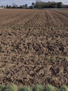 Acheter Terrain 400 m2 Saint-jean-de-liversay