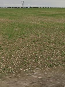 For sale Bouhet 421 m2 Charente maritime (17540) photo 0