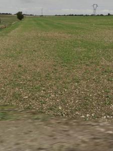 For sale Bouhet 421 m2 Charente maritime (17540) photo 1