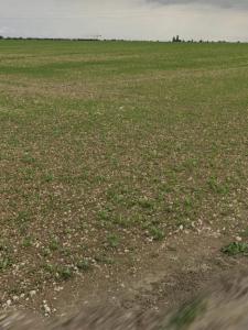 For sale Bouhet 421 m2 Charente maritime (17540) photo 2