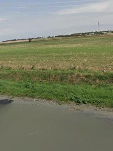 Annonce Vente Terrain Verines 17