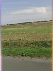 Acheter Terrain 300 m2 Verines