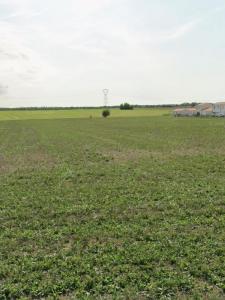 For sale Anais 430 m2 Charente maritime (17540) photo 0