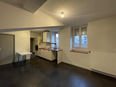 Annonce Location Appartement Lyon-7eme-arrondissement 69