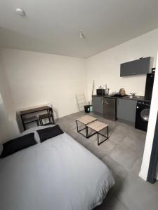 Louer Appartement Lyon-7eme-arrondissement Rhone