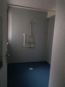 Louer Appartement Saint-loup-sur-semouse 577 euros