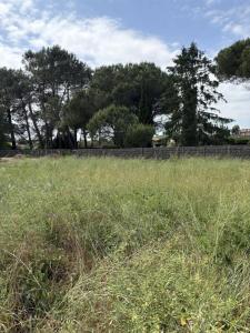 For sale Podensac 640 m2 Gironde (33720) photo 0