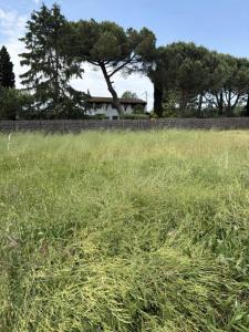 Annonce Vente Terrain Podensac 33