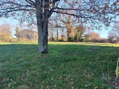 Acheter Maison 99 m2 