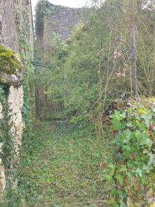 Acheter Immeuble Sauzelles 31990 euros