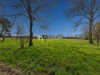 Acheter Prestige Rieumes Haute garonne