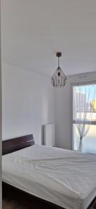 Louer Appartement Chevroliere 665 euros