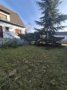 Annonce Location 4 pi�ces Maison Colmar 68