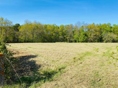 Acheter Maison 90 m2 Creon