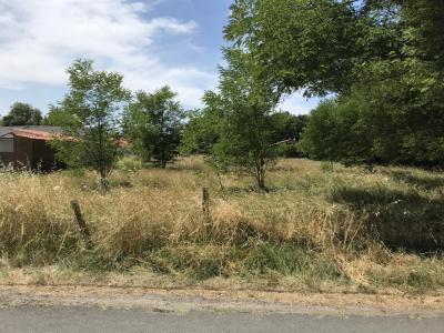 Annonce Vente 4 pi�ces Maison Barp 33