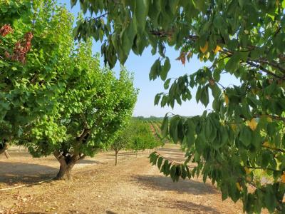 Acheter Prestige 330 m2 Lagardere