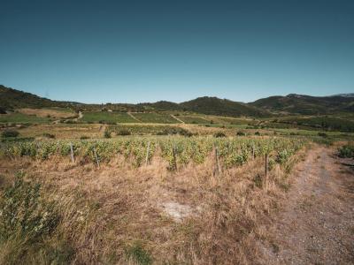 Acheter Terrain  Aude