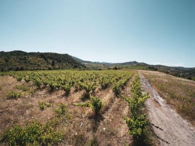 Acheter Terrain  130000 euros