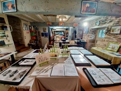 Annonce Vente 5 pi�ces Maison Rochefort-en-terre 56