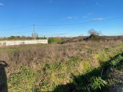 Annonce Vente Terrain Pouzolles 34