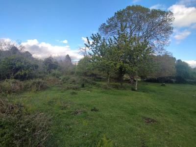 Acheter Terrain Quenza Corse