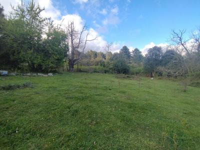 Acheter Terrain Quenza 145000 euros