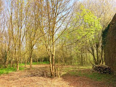 Annonce Vente 3 pi�ces Maison Lucs-sur-boulogne 85