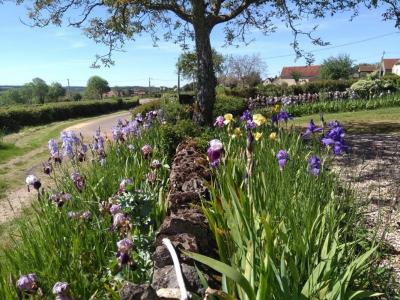 Annonce Vente 7 pi�ces Maison Changy 71