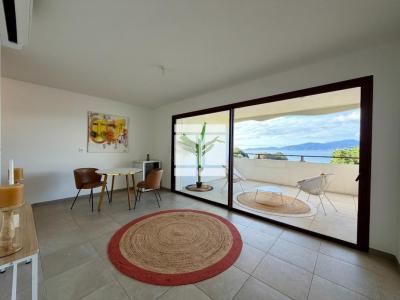 Annonce Vente 2 pi�ces Appartement Pietrosella 20