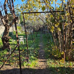 Annonce Vente Terrain Buis-les-baronnies 26