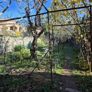 Acheter Terrain Buis-les-baronnies 35000 euros