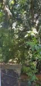 Louer Appartement Ivry-sur-seine 680 euros