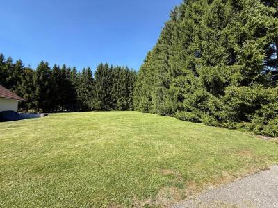 Annonce Vente Terrain Mouthe 25