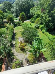 Annonce Vente Immeuble Saint-gaudens 31