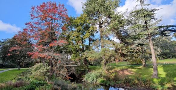 Acheter Maison Suce-sur-erdre Loire atlantique