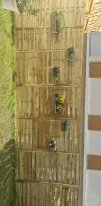 Annonce Location 2 pi�ces Appartement Noisy-le-grand 93