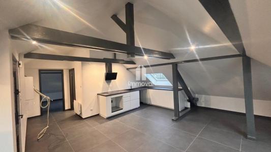 Annonce Location 2 pi�ces Appartement Geispolsheim 67