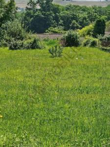 For sale Auxerre 1704 m2 Yonne (89000) photo 0