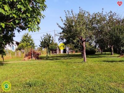 Acheter Maison Couleuvre Allier