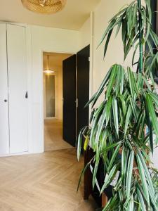 Louer Maison Bihorel 1100 euros