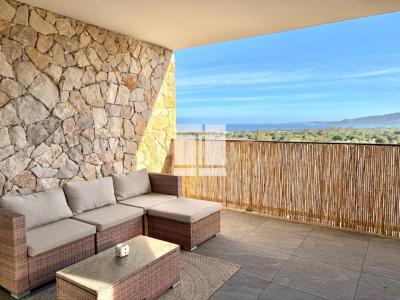 Annonce Vente 2 pi�ces Appartement Calvi 20