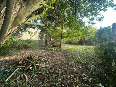 For sale Quincy-voisins 363 m2 Seine et marne (77860) photo 0