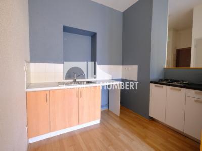 For rent Saint-etienne 2 rooms 44 m2 Loire (42000) photo 0
