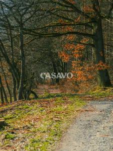 For sale Sadirac 5167 m2 Gironde (33670) photo 0