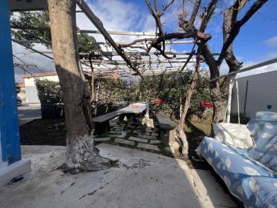 Annonce Vente 4 pi�ces Maison Vic-la-gardiole 34