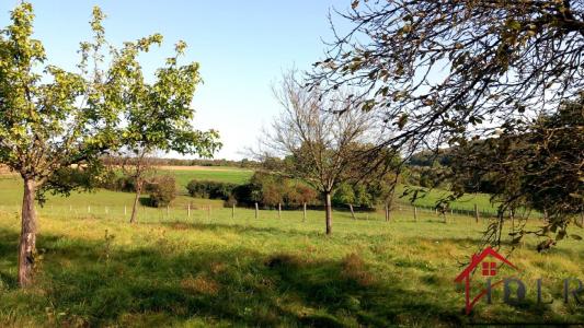 Acheter Maison 258 m2 Aigremont