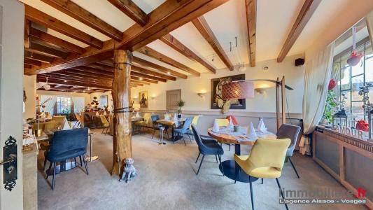 Annonce Vente Commerce Saint-die 88