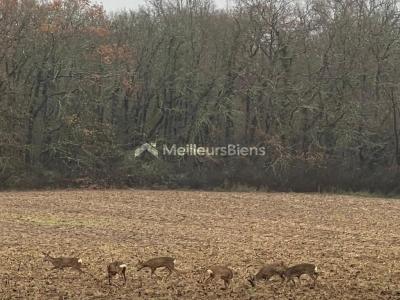 Acheter Maison Pechbonnieu Haute garonne