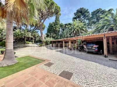 Vacation rentals Juan-les-pins Cap d'Antibes 8 rooms 450 m2 Alpes Maritimes (06160) photo 2